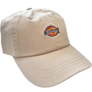 Dickies Hardwick Cap Cement